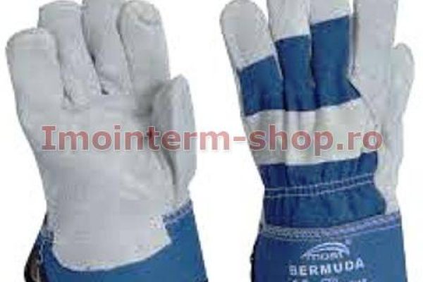 manusi-lacatus-most-bermuda-61-1-1