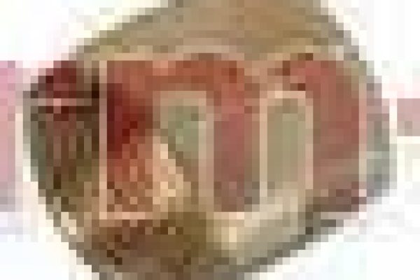 piulita-olandeza-3-8-filet-stanga-acetilena-parweld-anglia-489-1